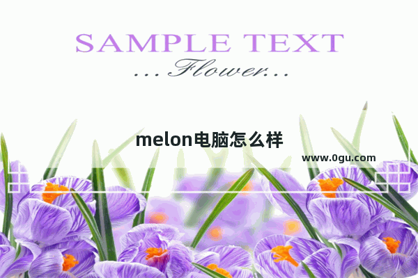 melon电脑怎么样