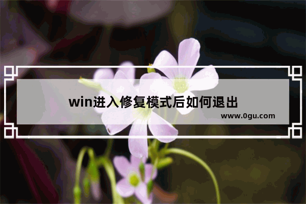 win进入修复模式后如何退出