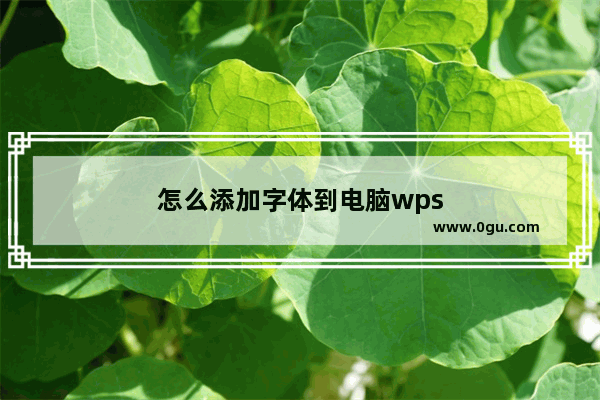 怎么添加字体到电脑wps