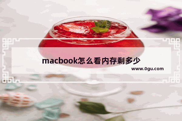 macbook怎么看内存剩多少