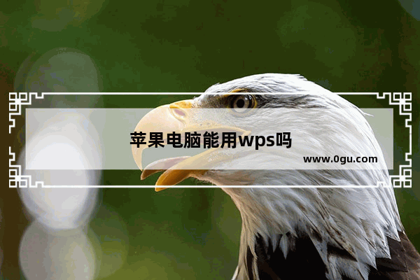 苹果电脑能用wps吗