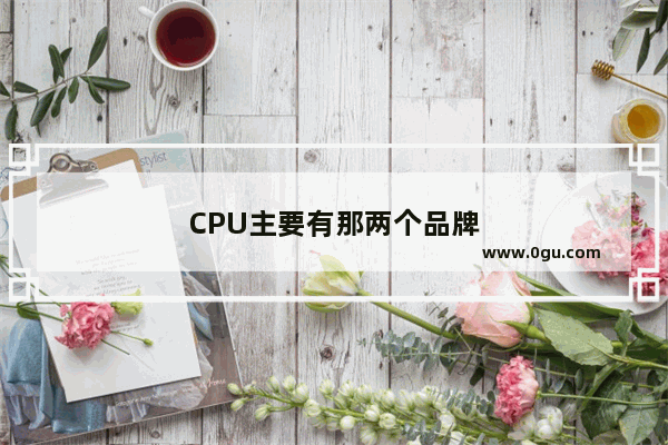 CPU主要有那两个品牌