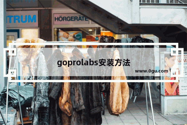 goprolabs安装方法