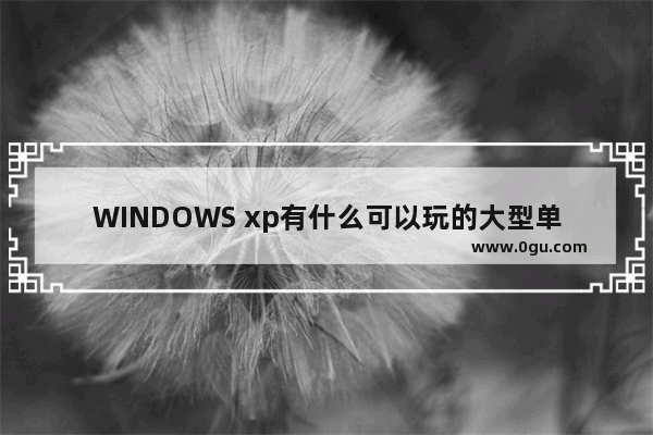 WINDOWS xp有什么可以玩的大型单机游戏推荐吗