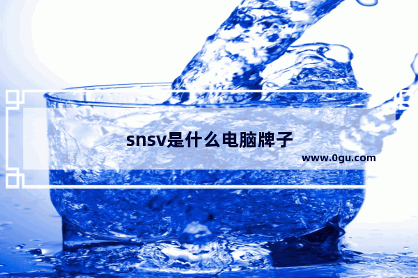 snsv是什么电脑牌子