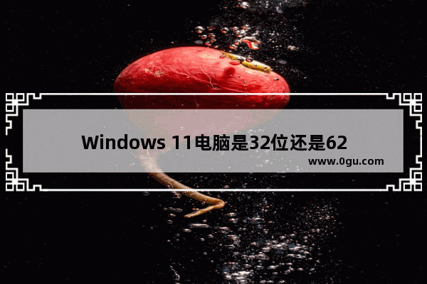 Windows 11电脑是32位还是62位怎么看