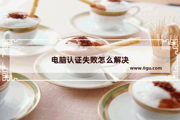 电脑认证失败怎么解决