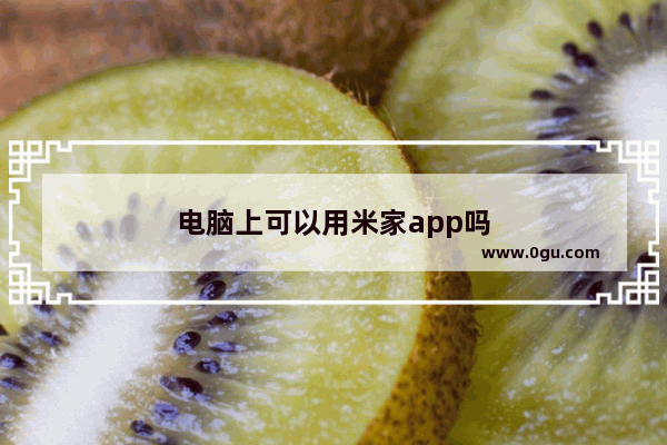 电脑上可以用米家app吗