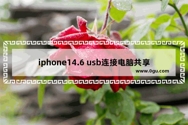 iphone14.6 usb连接电脑共享网络