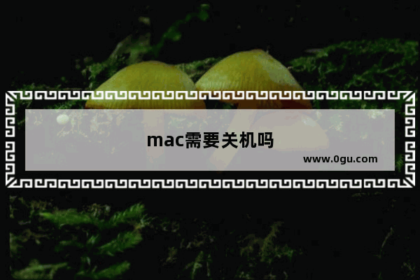 mac需要关机吗