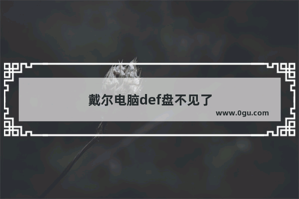 戴尔电脑def盘不见了