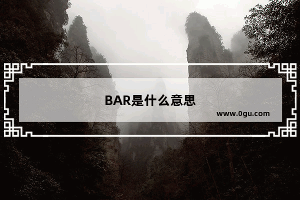 BAR是什么意思