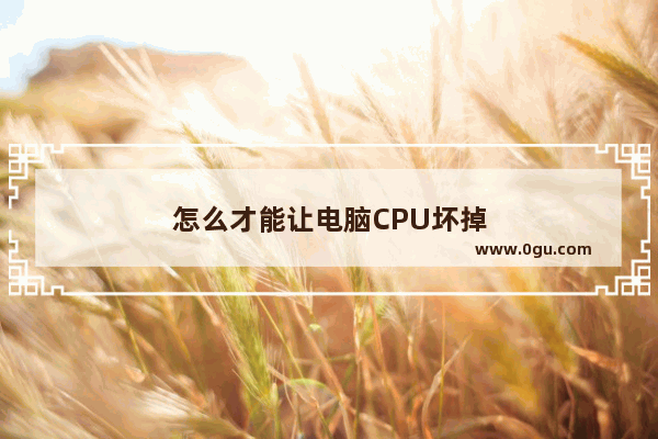 怎么才能让电脑CPU坏掉