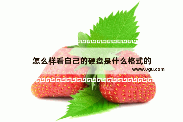 怎么样看自己的硬盘是什么格式的