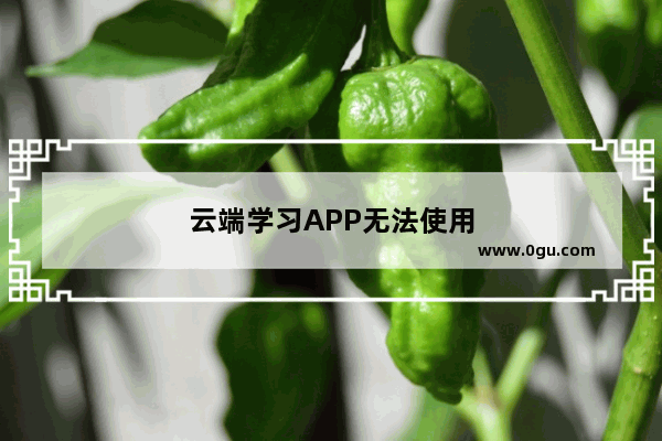 云端学习APP无法使用