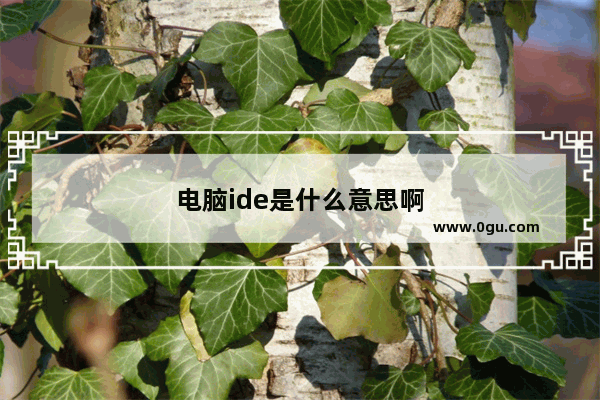 电脑ide是什么意思啊