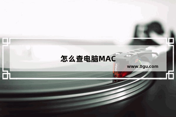 怎么查电脑MAC