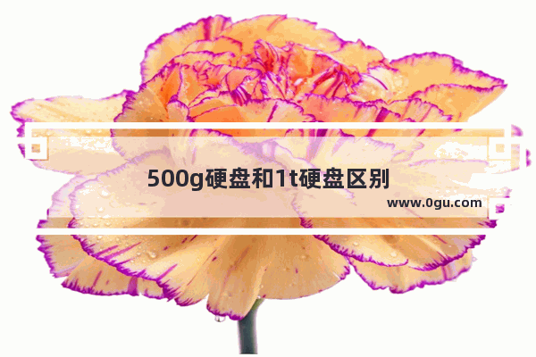 500g硬盘和1t硬盘区别