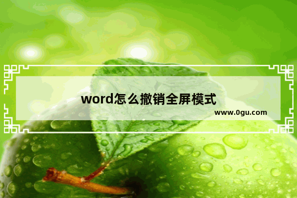 word怎么撤销全屏模式