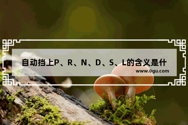 自动挡上P、R、N、D、S、L的含义是什么