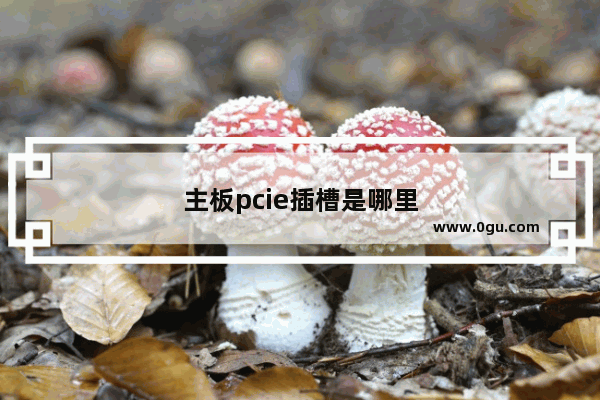 主板pcie插槽是哪里