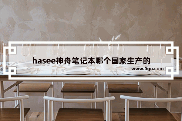 hasee神舟笔记本哪个国家生产的