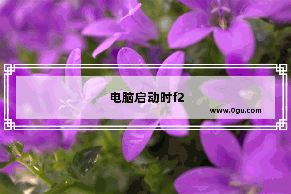 电脑启动时f2