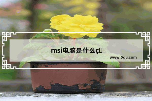 msi电脑是什么牌子多少钱