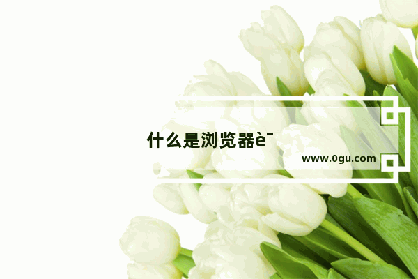 什么是浏览器识标［UA]