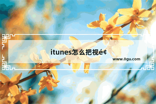 itunes怎么把视频导入到手机