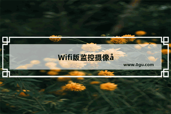 Wifi版监控摄像头 如何实现不同网络ip的电脑访问呢