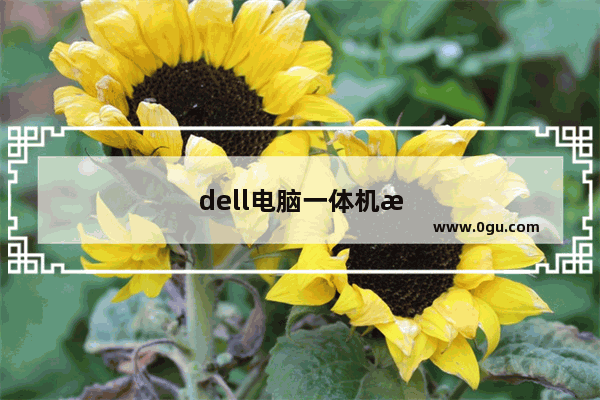 dell电脑一体机是什么意思