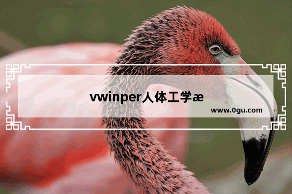 vwinper人体工学椅怎么样