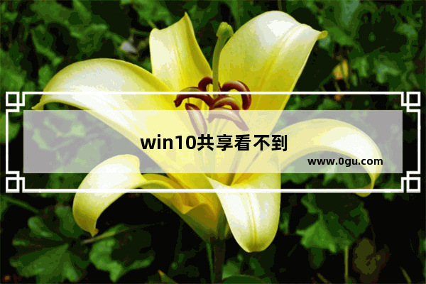 win10共享看不到其他电脑