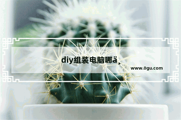 diy组装电脑哪个品牌好