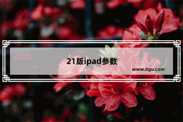 21版ipad参数