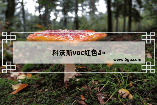 科沃斯voc红色什么意思