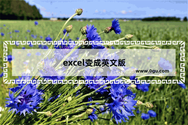 excel变成英文版怎么改中文