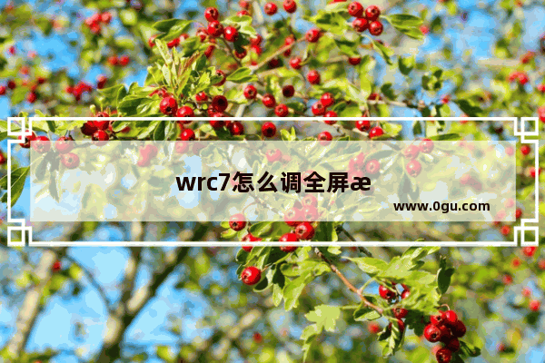 wrc7怎么调全屏无边框