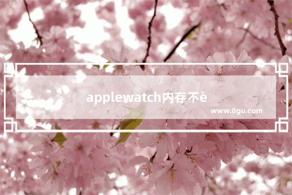 applewatch内存不足怎么清理