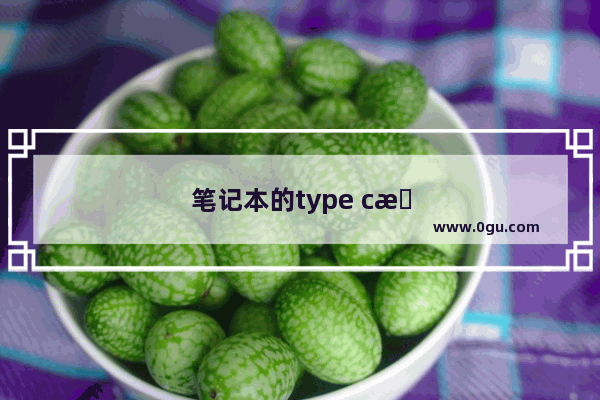 笔记本的type c接口可以给电脑充电吗