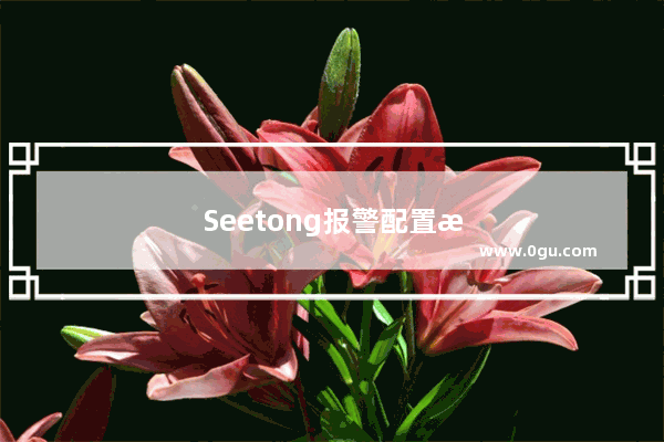 Seetong报警配置我不会怎么办