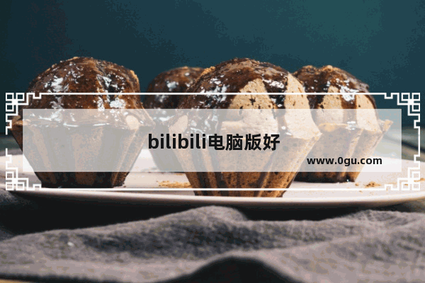 bilibili电脑版好使吗