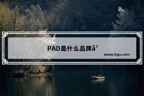 PAD是什么品牌平板