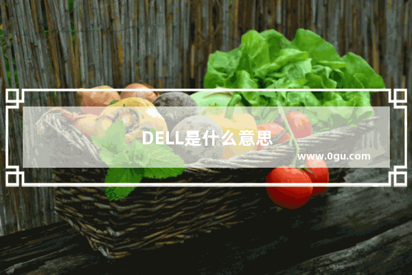 DELL是什么意思