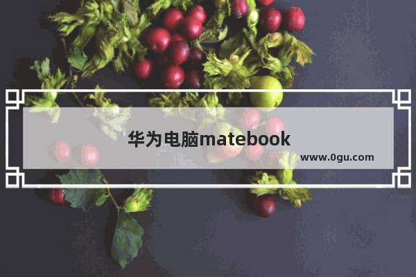 华为电脑matebook14（i5–10210U）性能怎么样