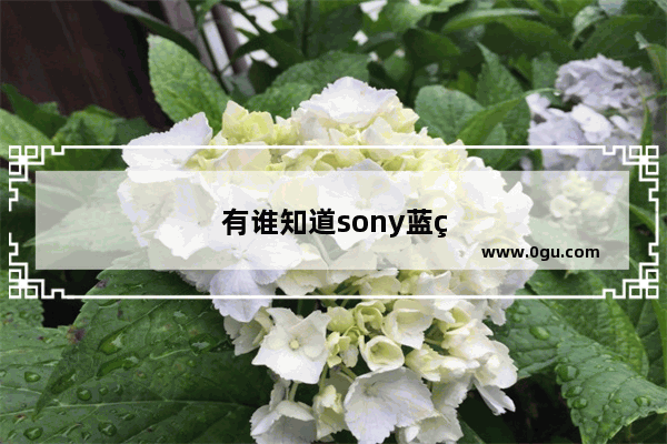 有谁知道sony蓝牙耳机连接电脑的方法