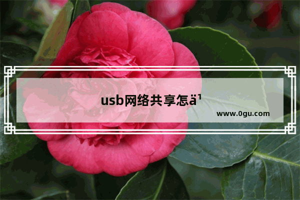 usb网络共享怎么打不开