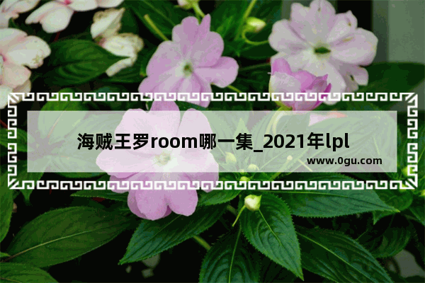 海贼王罗room哪一集_2021年lpl主持人有哪些