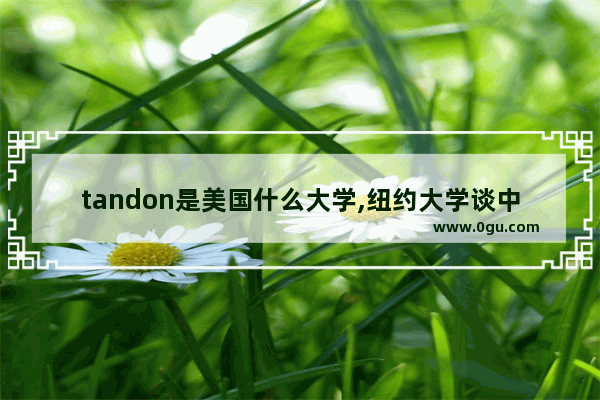 tandon是美国什么大学,纽约大学谈中国历史